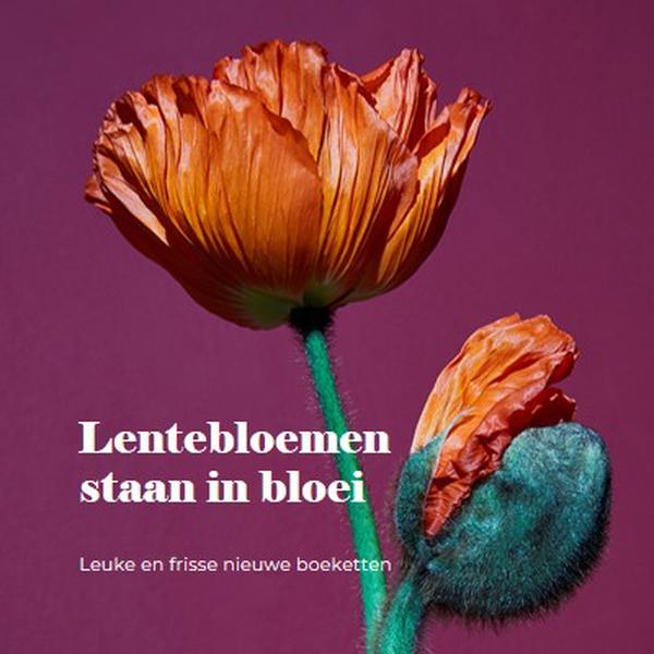 Verse bloemen purple modern-simple