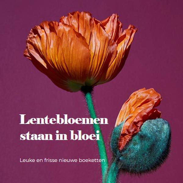 Verse bloemen purple modern-simple