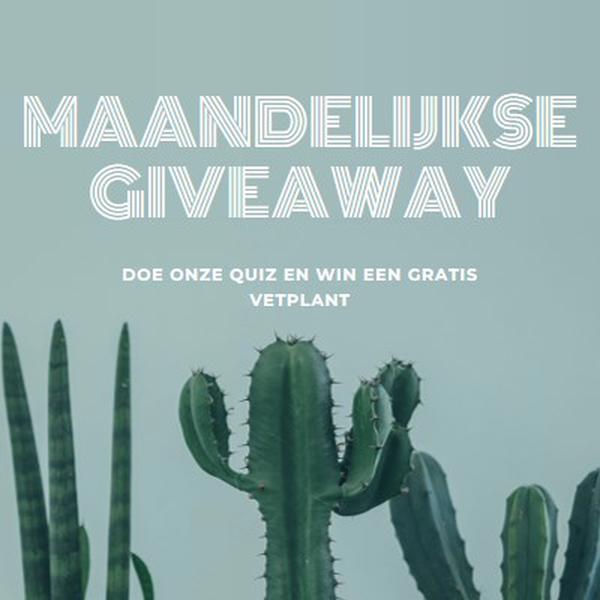 Maandelijkse giveaway-toets green modern-simple