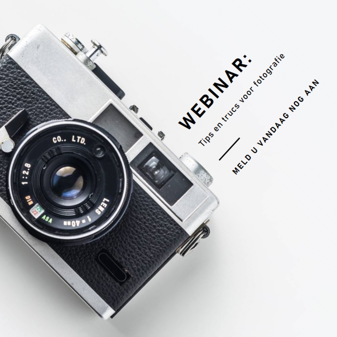 In focus white modern-bold