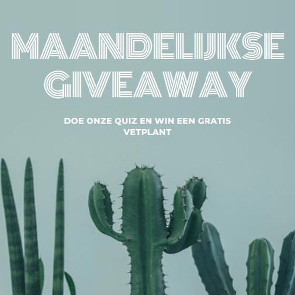 Maandelijkse giveaway-toets green modern-simple