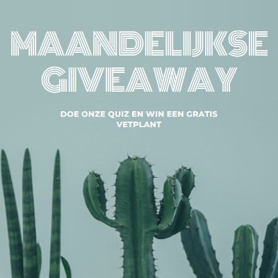 Maandelijkse giveaway-toets green modern-simple