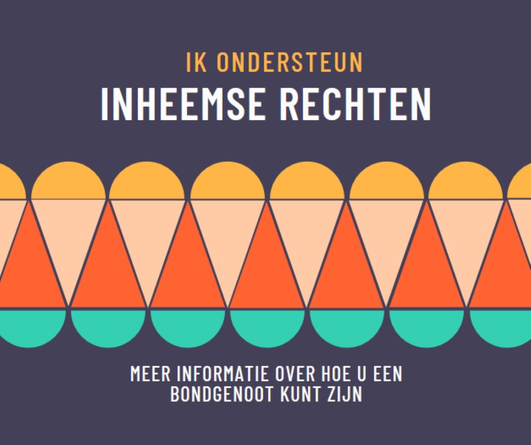Inheemse rechten ondersteunen blue modern-color-block