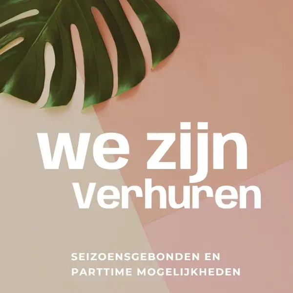 We nemen seizoensarbeiders aan pink modern-simple