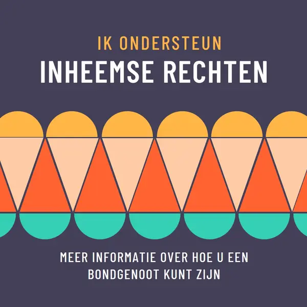 Inheemse rechten ondersteunen blue modern-color-block