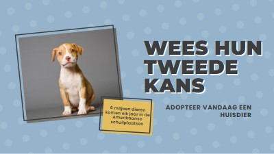 Tweede kans pup blue modern-bold