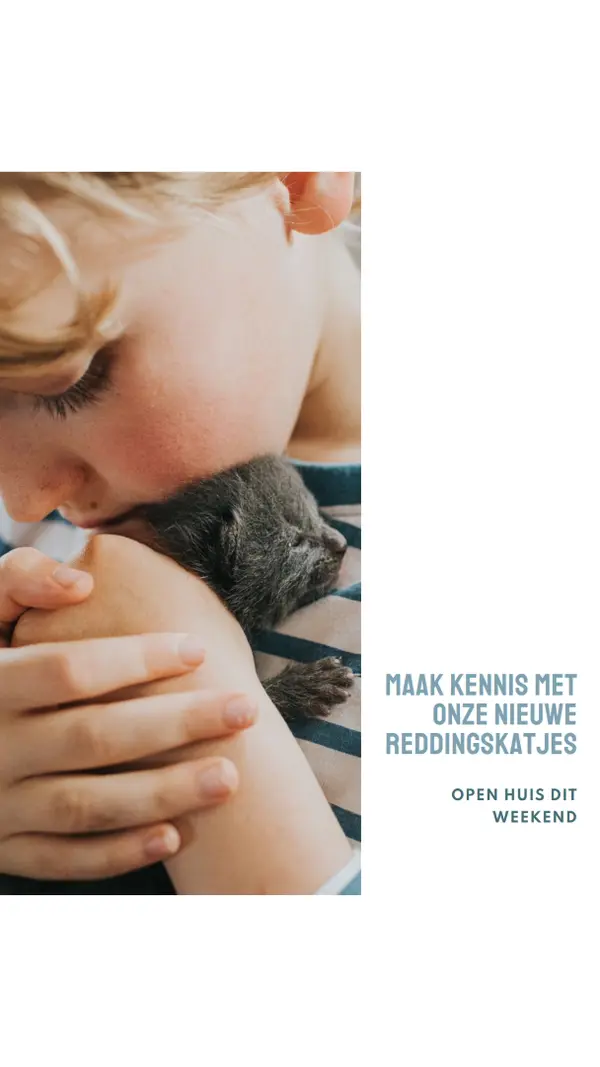 Maak kennis met onze nieuwe reddingsacties pink modern-simple