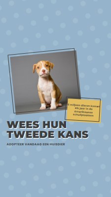 Tweede kans pup blue modern-bold