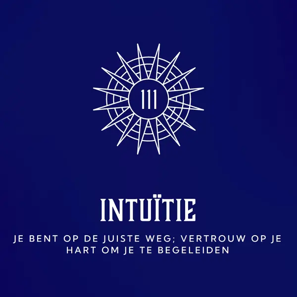 Op het juiste pad blue modern,edgy,texture,contemporary,shapes