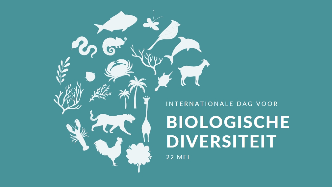 Wereld biodiversiteitsdag vieren blue modern-simple