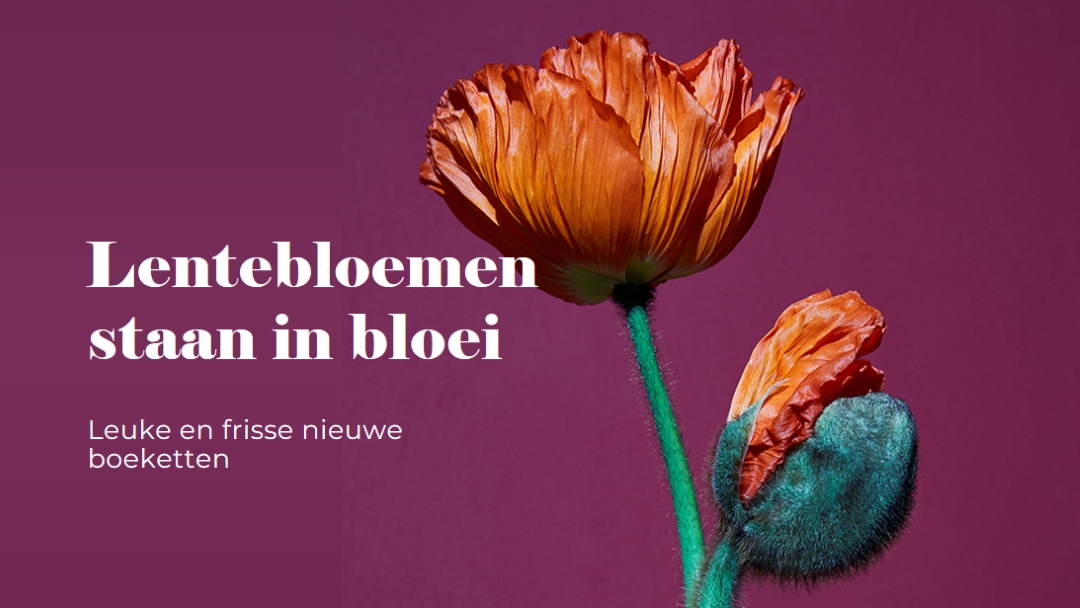 Verse bloemen purple modern-simple