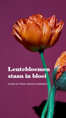 Verse bloemen purple modern-simple