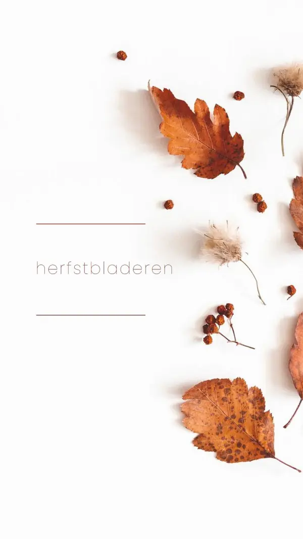 De bladeren zijn gevallen white modern-simple