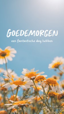 Een fantastische dag hebben blue modern,simple,photography,flowers,birght,fresh