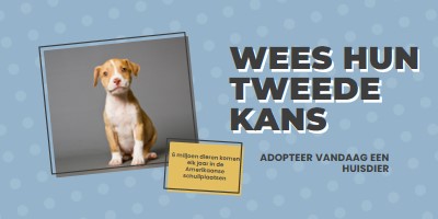 Tweede kans pup blue modern-bold