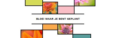 Bloei waar je bent geplant white modern-geo-&-linear