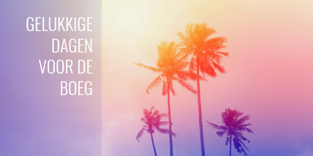 Zoek orange modern-bold