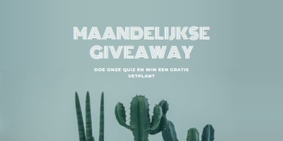 Maandelijkse giveaway-toets green modern-simple