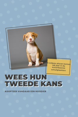 Tweede kans pup blue modern-bold