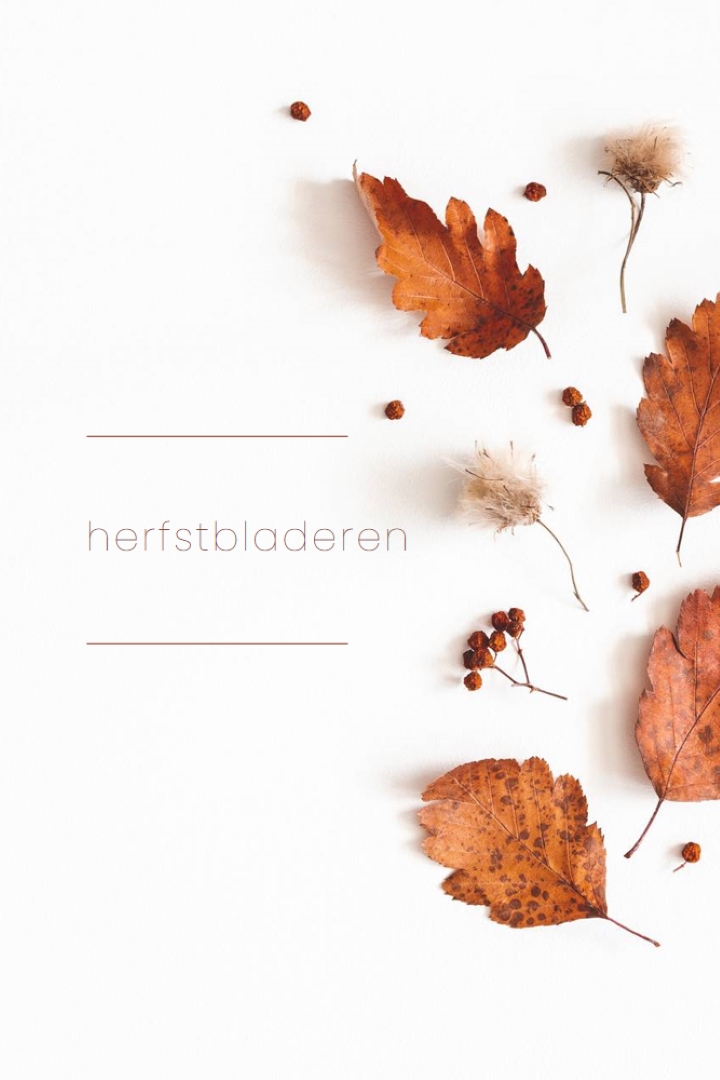 De bladeren zijn gevallen white modern-simple