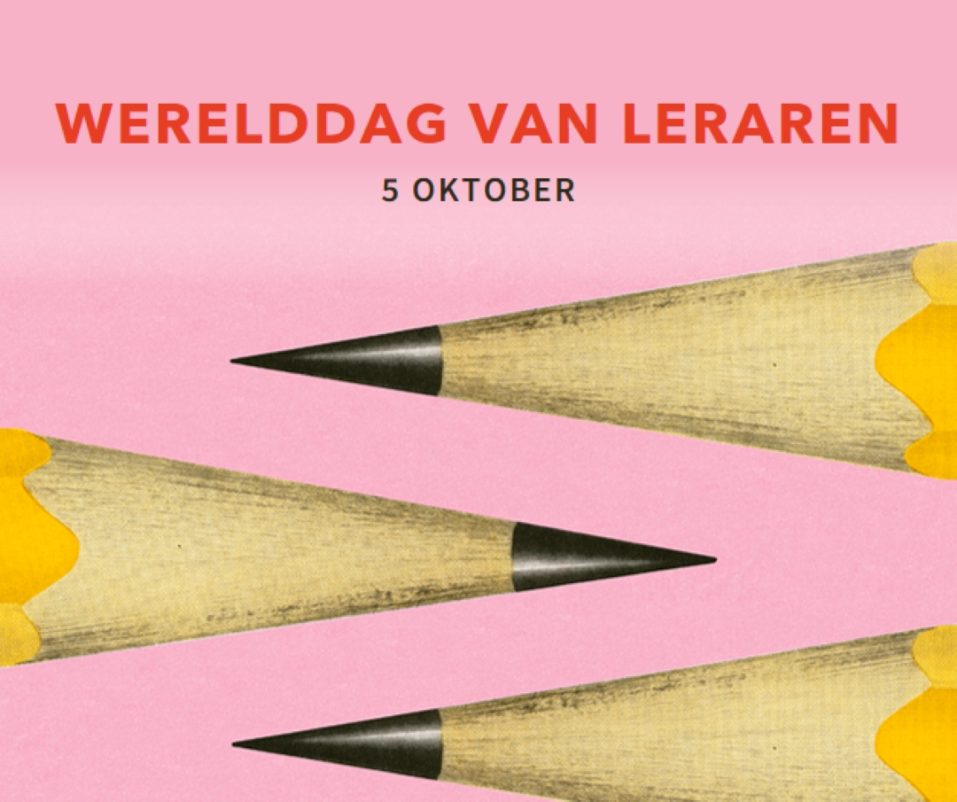 Functiedocenten pink modern-bold