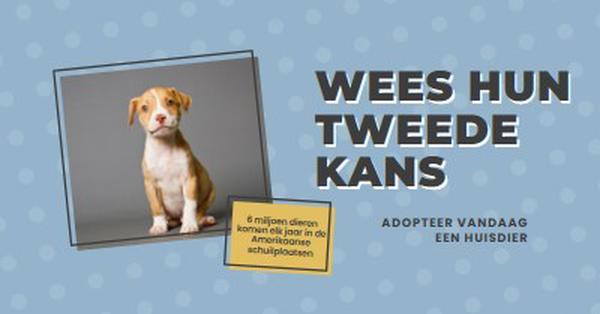 Tweede kans pup blue modern-bold