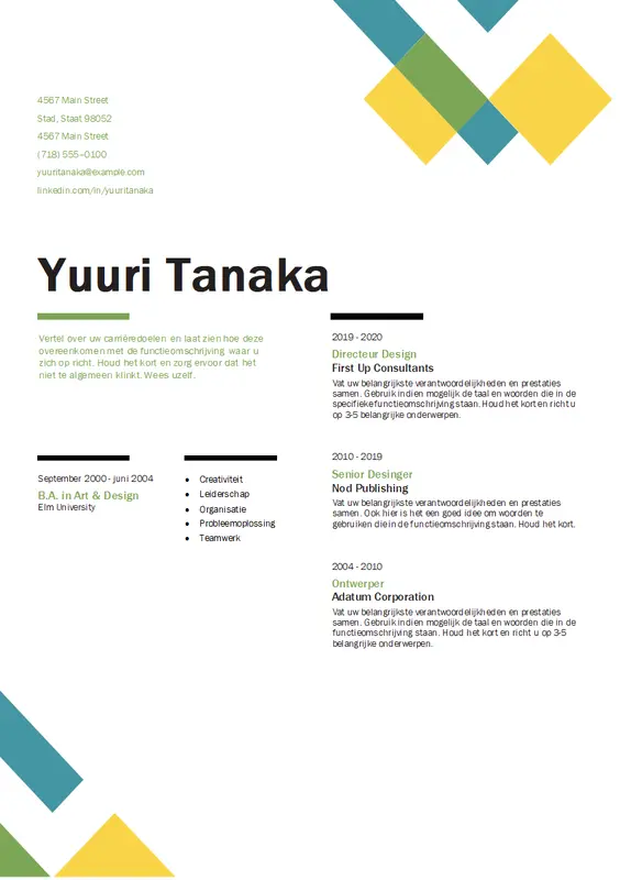 Geometrisch CV modern geometric