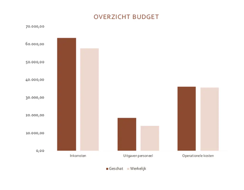 Bedrijfsbudget modern simple