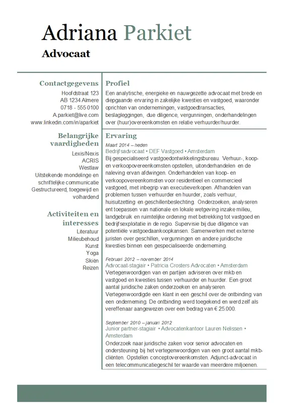 Curriculum vitae advocaat modern-simple