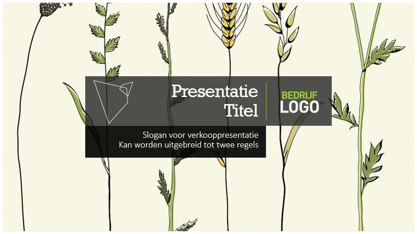 Verkooppresentatie organic-simple
