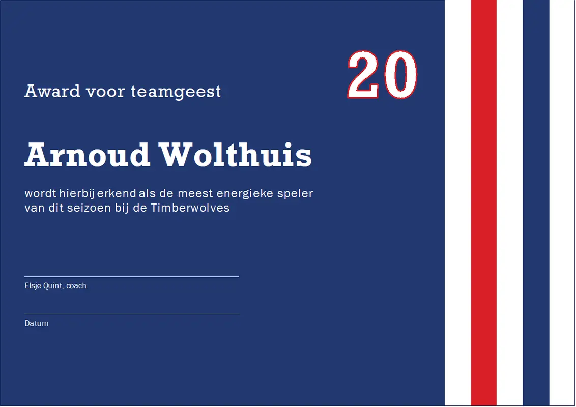 Award voor teamgeest modern-color-block