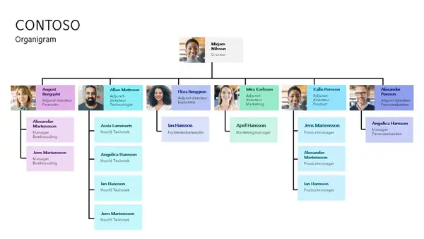 Minimalistisch organigram modern-simple