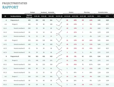 Rapport met projectprestaties modern simple