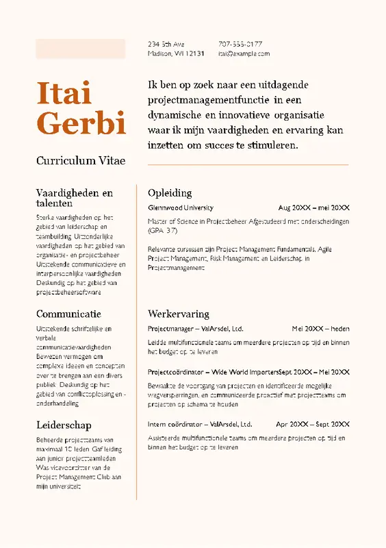 CV (resumé) modern color block