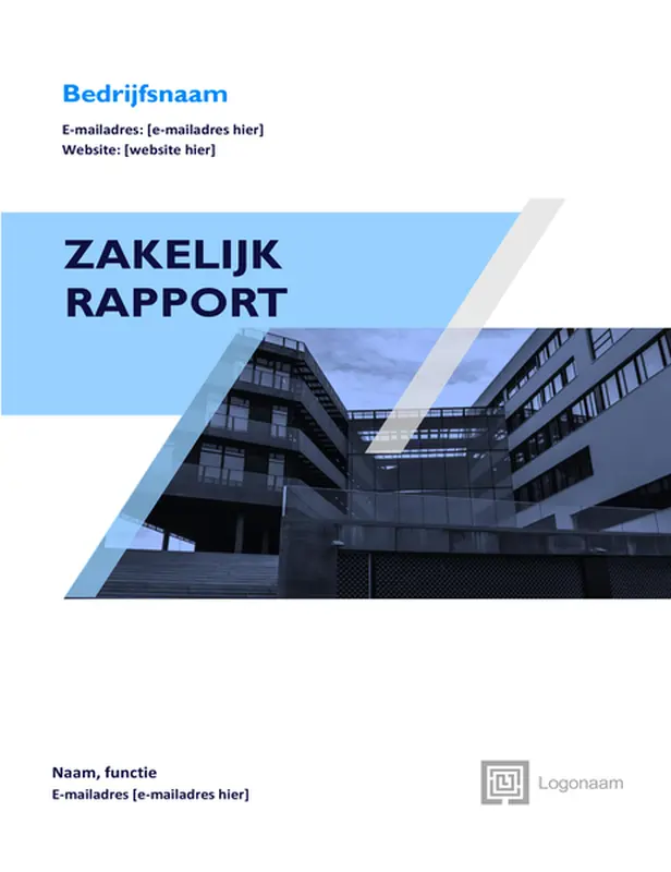Zakelijk rapport (grafisch ontwerp)