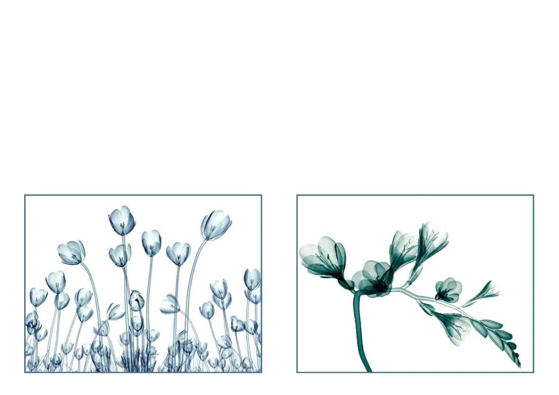 Wenskaarten met bloemen (10 kaarten, 2 per pagina) blue organic-simple