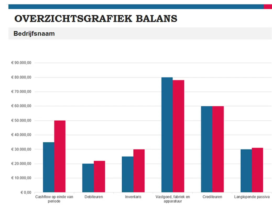 Budgetoverzichtsrapport