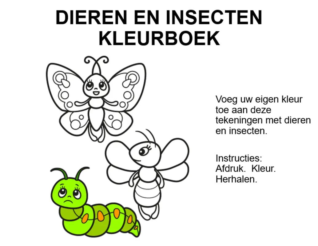 Dieren en insecten kleurboek whimsical color block