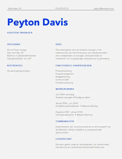 Eenvoudige moderne cv modern simple