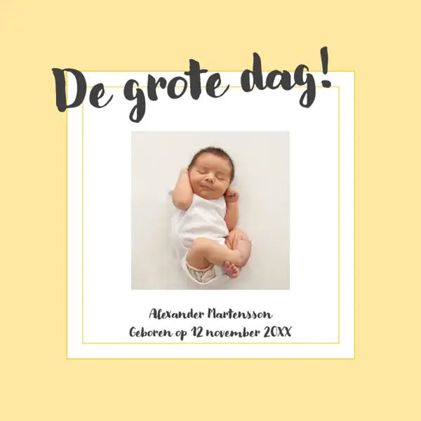 Fotoalbum met geboortemijlpalen whimsical color block