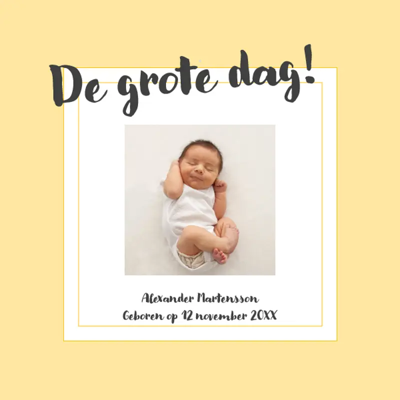 Fotoalbum met geboortemijlpalen whimsical color block