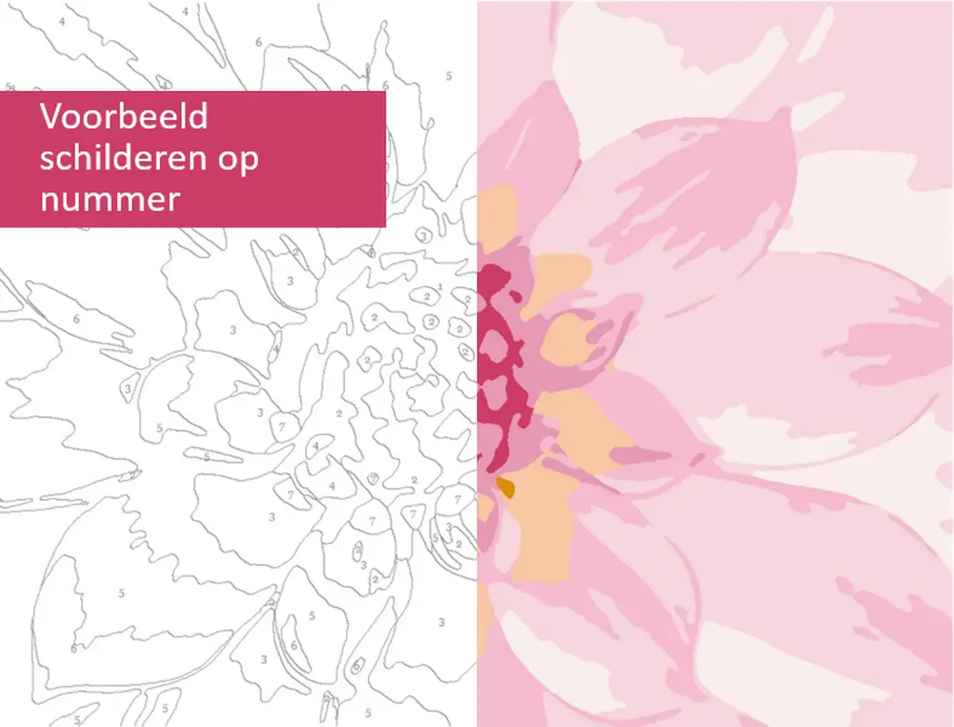 Voorbeeld schilderen op nummer modern simple