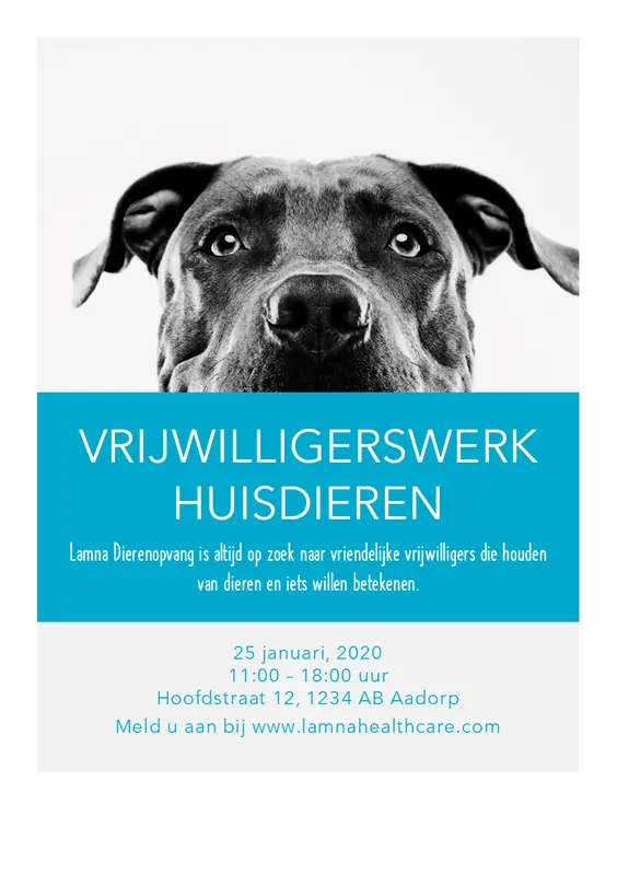 Flyer voor vrijwilligerswerk met dieren modern-simple