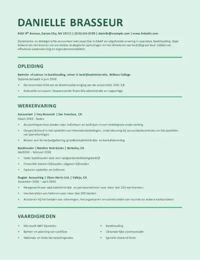 Stijlvol cv voor accounting voor gebruik in een ATS