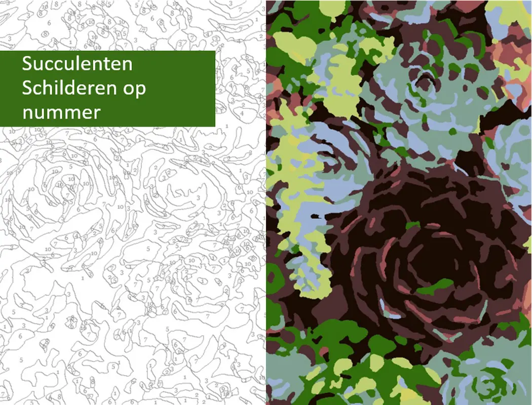 Vetplanten schilderen op nummer organic simple