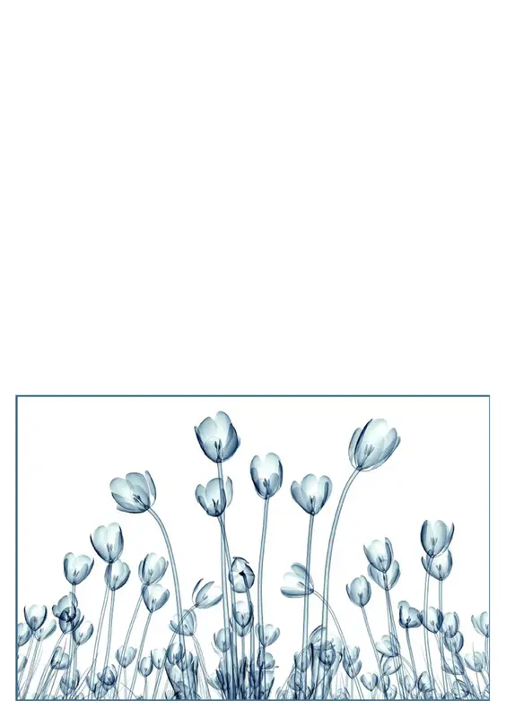 Wenskaarten met bloemen (5 kaarten, 1 per pagina) organic-simple