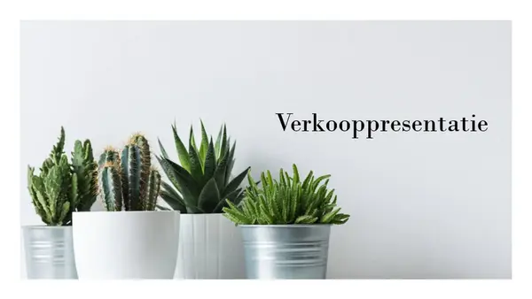 Simpele verkooppresentatie modern-simple
