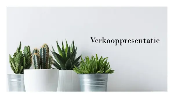 Simpele verkooppresentatie white modern-simple