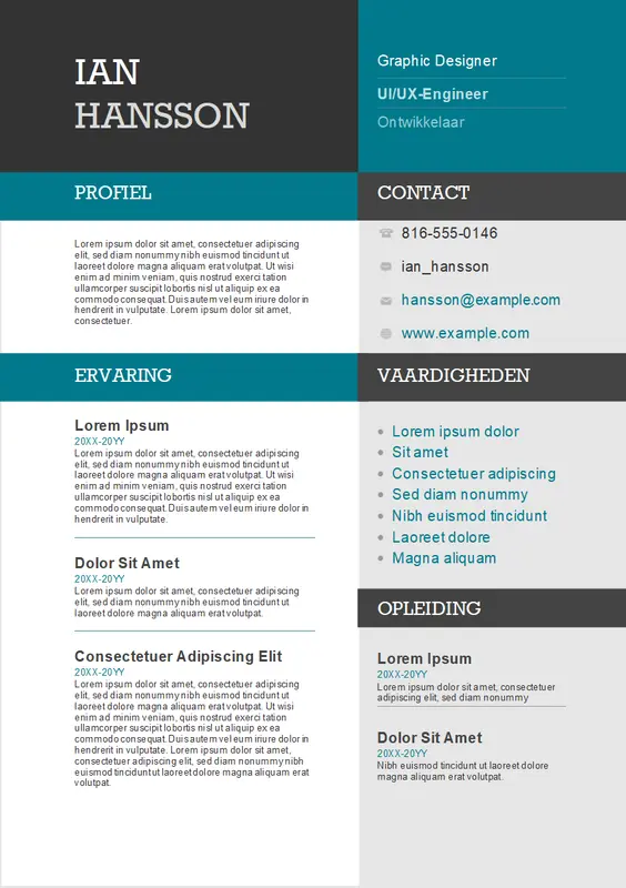 Cv met kleurblokken modern-color-block