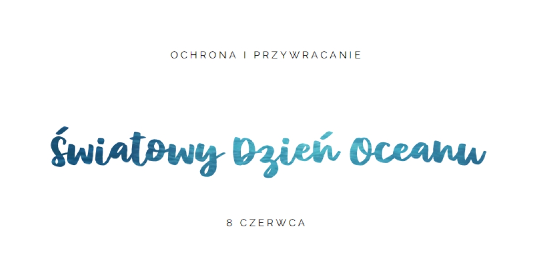 Ochrona i przywracanie white modern-simple